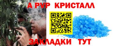 скорость Бийск