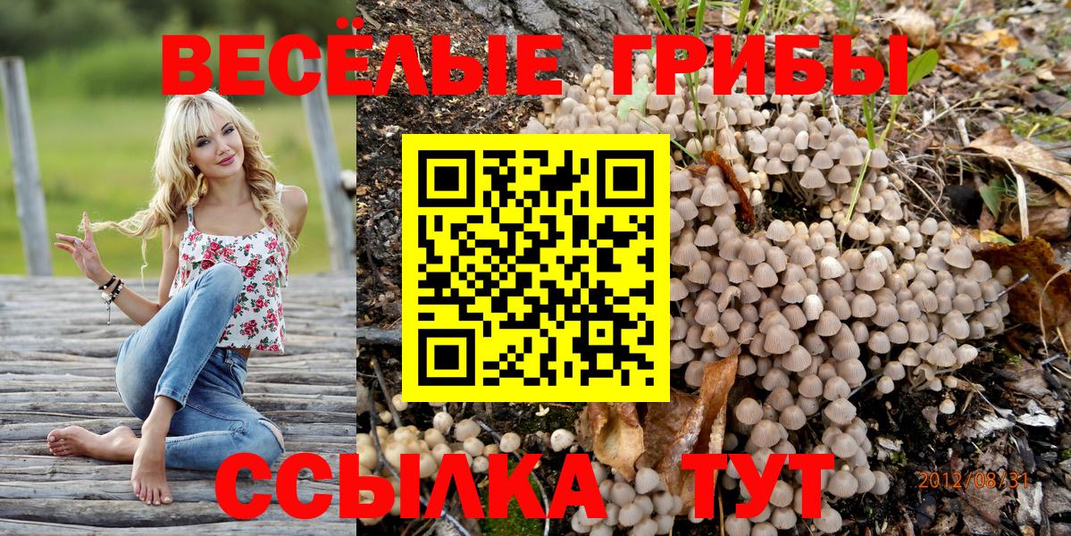 Псилоцибиновые грибы GOLDEN TEACHER Воркута