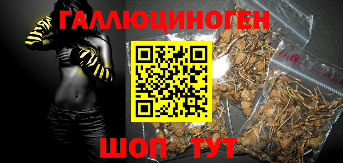 Галлюциногенные грибы Psilocybine cubensis  Вход с VPN  Воркута 